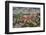 Red roof houses on the hill side, Sarajevo, Bosnia and Herzegovina-Keren Su-Framed Photographic Print