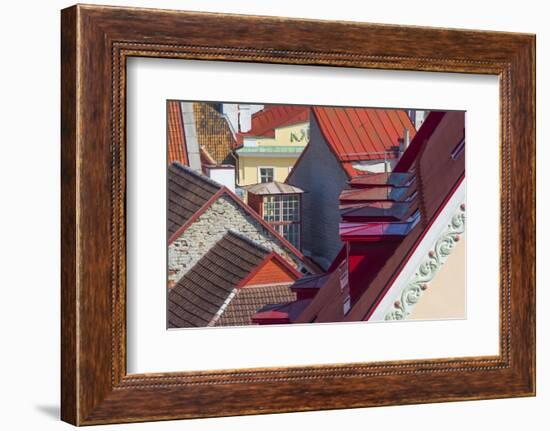 Red roofs of historical buildings in the old town, Tallinn, Estonia-Keren Su-Framed Photographic Print