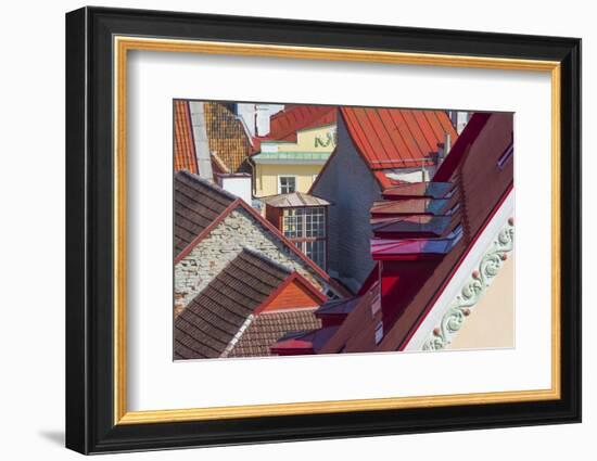 Red roofs of historical buildings in the old town, Tallinn, Estonia-Keren Su-Framed Photographic Print