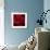 Red Rose 02-Tom Quartermaine-Framed Giclee Print displayed on a wall