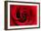 Red Rose 03-Tom Quartermaine-Framed Giclee Print