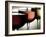 Red, Rose and White Wine-Steve Lupton-Framed Photographic Print