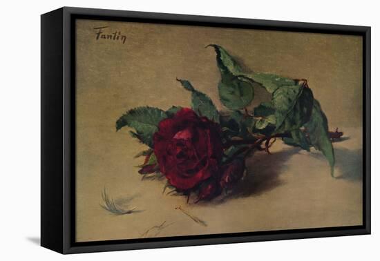 'Red Rose', c1864, (1938)-Henri Fantin-Latour-Framed Premier Image Canvas