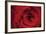 Red Rose Detail-Erin Berzel-Framed Photographic Print