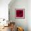 Red Rose I-Monika Burkhart-Framed Photographic Print displayed on a wall