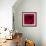 Red Rose I-Monika Burkhart-Framed Photographic Print displayed on a wall