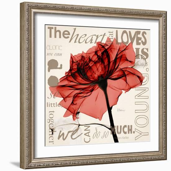 Red Rose Love-Albert Koetsier-Framed Photographic Print