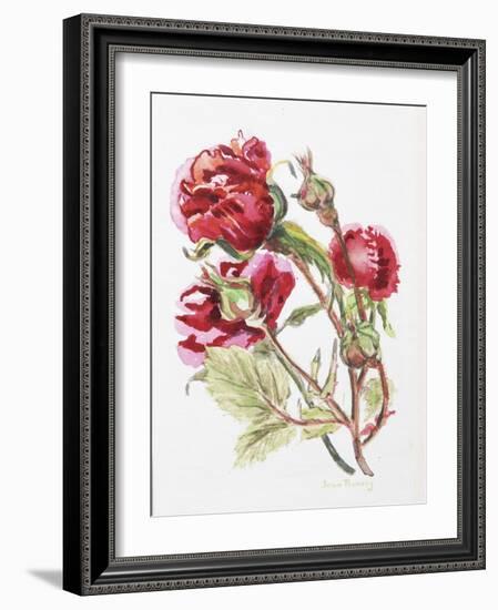 Red Rose Spray,2001-Joan Thewsey-Framed Giclee Print