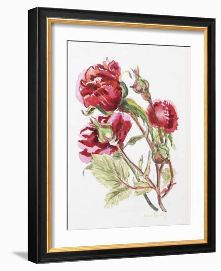 Red Rose Spray,2001-Joan Thewsey-Framed Giclee Print