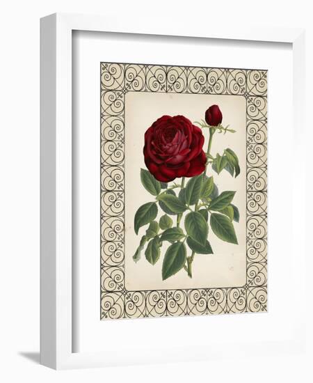 Red Rose with Wrought Iron BorderII-null-Framed Premium Giclee Print