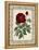 Red Rose with Wrought Iron BorderII-null-Framed Stretched Canvas