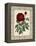 Red Rose with Wrought Iron BorderII-null-Framed Stretched Canvas