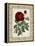 Red Rose with Wrought Iron BorderII-null-Framed Stretched Canvas