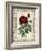 Red Rose with Wrought Iron BorderII-null-Framed Art Print