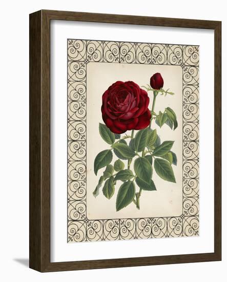 Red Rose with Wrought Iron BorderII-null-Framed Art Print