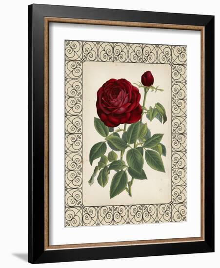 Red Rose with Wrought Iron BorderII-null-Framed Art Print