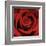 Red Rose-Laurent Pinsard-Framed Art Print