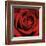 Red Rose-Laurent Pinsard-Framed Art Print