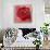 Red Rose-Anna Flores-Framed Premium Giclee Print displayed on a wall