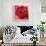 Red Rose-Anna Flores-Framed Premium Giclee Print displayed on a wall