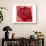 Red Rose-Anna Flores-Art Print displayed on a wall