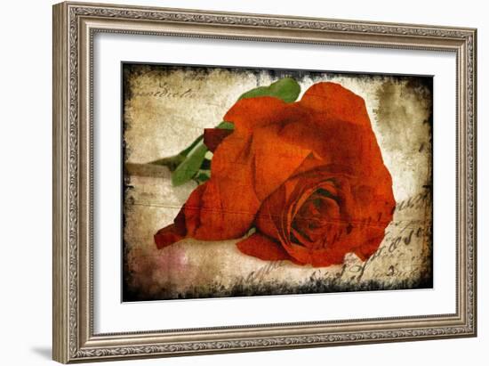 Red Rose-Kevin Calaguiro-Framed Premium Giclee Print