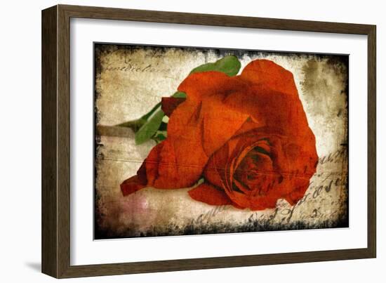 Red Rose-Kevin Calaguiro-Framed Premium Giclee Print