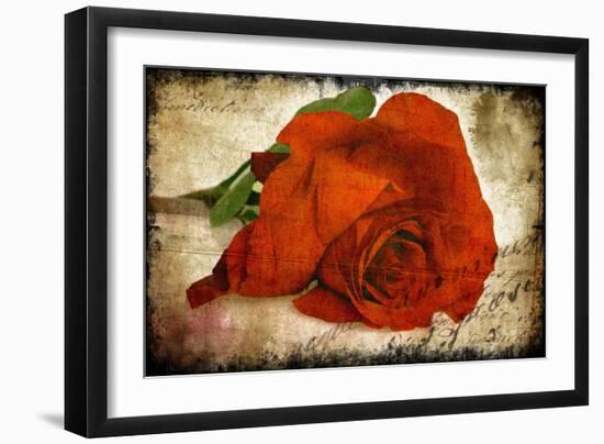 Red Rose-Kevin Calaguiro-Framed Premium Giclee Print