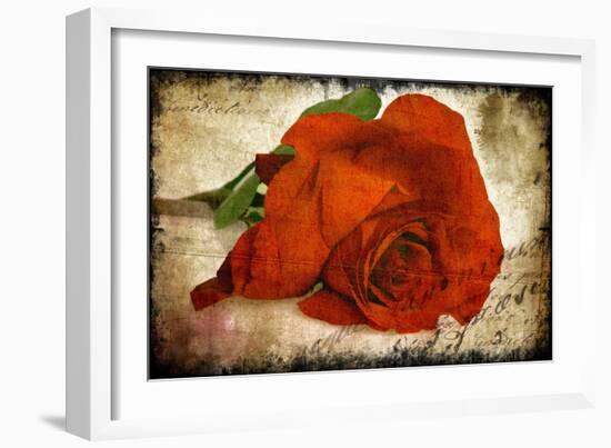 Red Rose-Kevin Calaguiro-Framed Premium Giclee Print