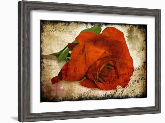 Red Rose-Kevin Calaguiro-Framed Art Print