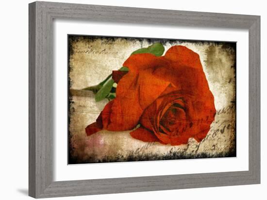 Red Rose-Kevin Calaguiro-Framed Art Print