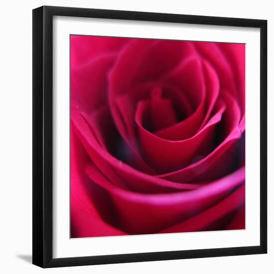 Red Rose-Carolina Hernandez-Framed Photographic Print