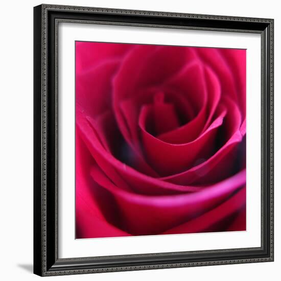 Red Rose-Carolina Hernandez-Framed Photographic Print