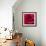 Red Rose-Carolina Hernandez-Framed Photographic Print displayed on a wall