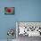 Red Rose-Michael Scheufler-Photographic Print displayed on a wall
