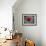 Red Rose-Michael Scheufler-Framed Photographic Print displayed on a wall