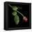 Red Rosebud-Magda Indigo-Framed Premier Image Canvas