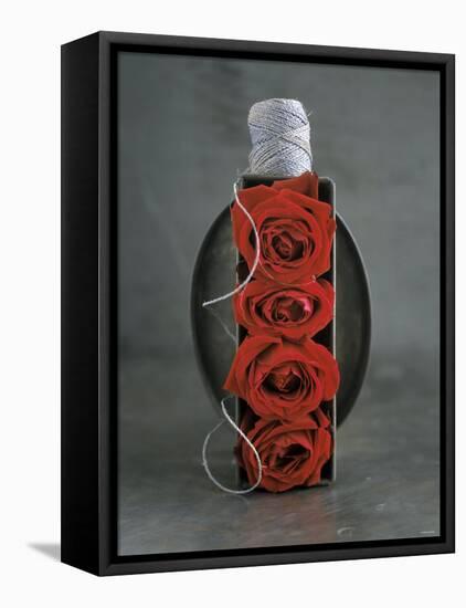 Red Roses in Baking Dish with Kitchen String-Ellen Silverman-Framed Premier Image Canvas