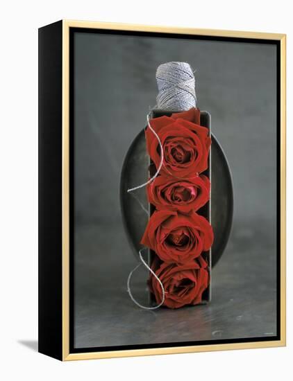 Red Roses in Baking Dish with Kitchen String-Ellen Silverman-Framed Premier Image Canvas