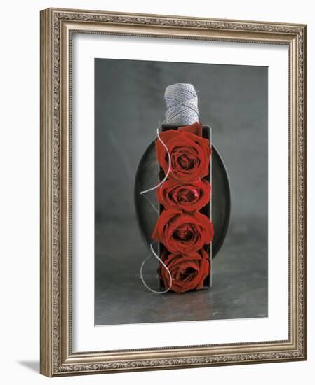 Red Roses in Baking Dish with Kitchen String-Ellen Silverman-Framed Photographic Print