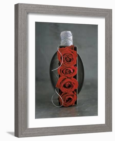 Red Roses in Baking Dish with Kitchen String-Ellen Silverman-Framed Photographic Print