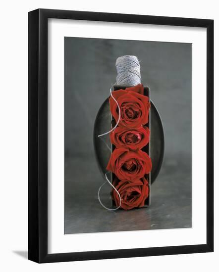 Red Roses in Baking Dish with Kitchen String-Ellen Silverman-Framed Photographic Print