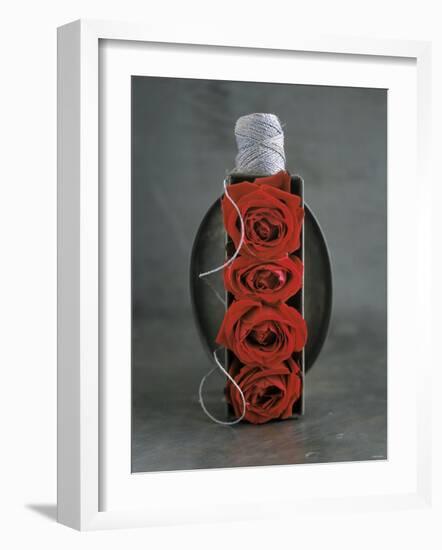 Red Roses in Baking Dish with Kitchen String-Ellen Silverman-Framed Photographic Print