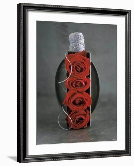 Red Roses in Baking Dish with Kitchen String-Ellen Silverman-Framed Photographic Print