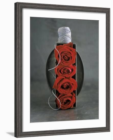 Red Roses in Baking Dish with Kitchen String-Ellen Silverman-Framed Photographic Print