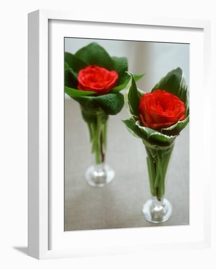 Red Roses in Glass Vases-Michael Paul-Framed Photographic Print