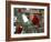 Red Roses-Nicole Katano-Framed Photo