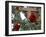 Red Roses-Nicole Katano-Framed Photo