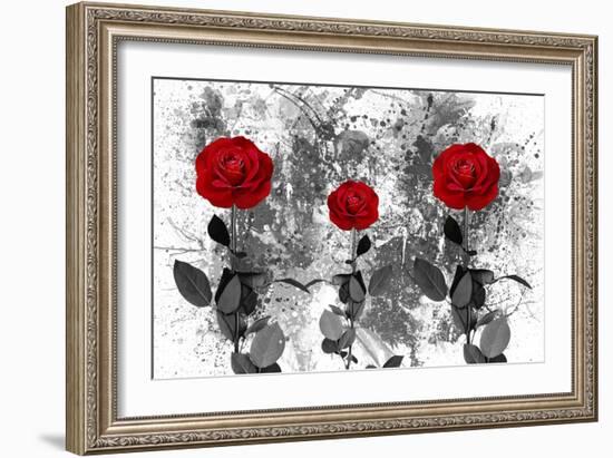 Red Roses-Ata Alishahi-Framed Giclee Print