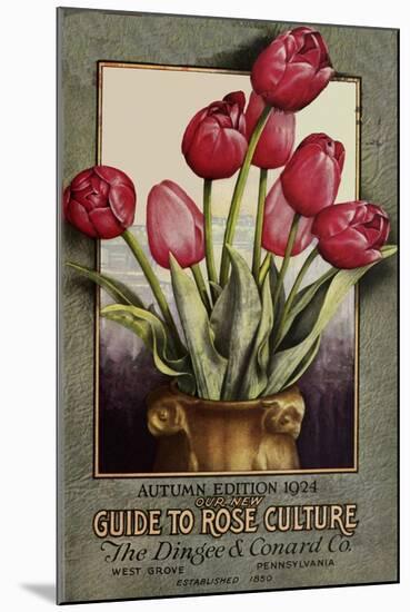 Red Roses-Vintage Apple Collection-Mounted Giclee Print